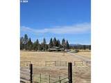 29951 Oregon Pines Road - Photo 1