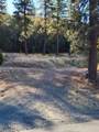 4265 Griffin Creek Road - Photo 11