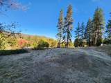 4265 Griffin Creek Road - Photo 7