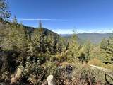  Williams Creek Road - Photo 17
