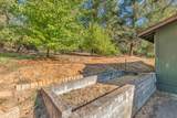 1049 Evans Creek Road - Photo 13