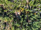 5203 Evans Creek Road - Photo 6