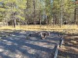 56214 Black Duck Road - Photo 29