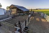 11288 Hwy 126 - Photo 10