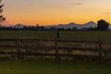 11288 Hwy 126 - Photo 47