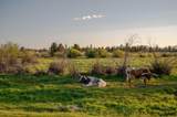 52255 Huntington Road - Photo 66