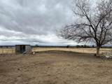 1724 Park Lane - Photo 13