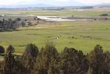 000 Crystal Springs Rd. - Photo 2