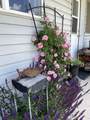 10229 Wright Avenue - Photo 21