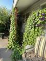 10229 Wright Avenue - Photo 23