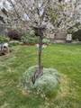 10229 Wright Avenue - Photo 25