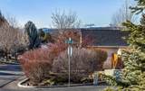 2380 Crocus Way - Photo 8