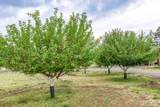 2245 Colestin Road - Photo 35