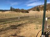 2245 Colestin Road - Photo 71
