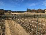 2245 Colestin Road - Photo 76