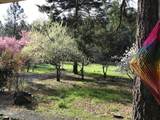 350 Bonnie Lane - Photo 25