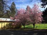 350 Bonnie Lane - Photo 35