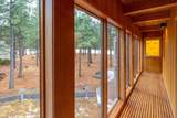 70311 Forsythia - Photo 38