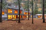 70311 Forsythia - Photo 49