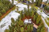 70311 Forsythia - Photo 52
