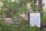 19717 Mt Bachelor Drive - Photo 24