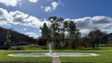 8401 Old Stage Road - Photo 46