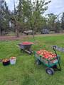 5975 41st Street - Photo 86