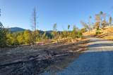 0 Griffin Creek Road - Photo 11