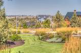  Fescue Lane - Photo 16