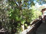 381 Knoll Terrace Drive - Photo 5