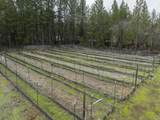 5047 Takilma Road - Photo 65