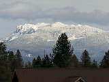 16631 Serpentine Drive - Photo 42