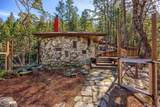 2295 Tolman Creek Road - Photo 3