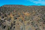 25405 Bear Creek Road - Photo 60