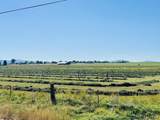  Reeder Road - Photo 12