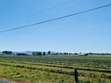  Reeder Road - Photo 13