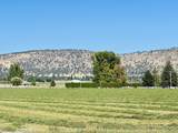  Reeder Road - Photo 15