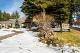 19950 Driftwood Lane - Photo 33