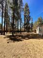 16044 Bull Bat Lane - Photo 19