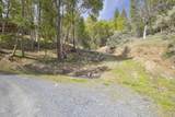 4509 Humbug Creek Road - Photo 48