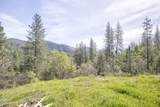4509 Humbug Creek Road - Photo 51