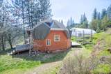 4509 Humbug Creek Road - Photo 8