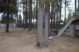 136028 Highway 97 - Photo 40