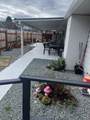 1647 Williams Highway - Photo 19