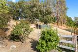 7303 Wagner Creek Road - Photo 40
