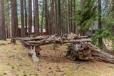 70425 Twistedstock - Photo 19