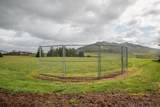 31575 Sand Ridge Road - Photo 43