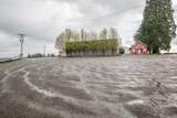 31575 Sand Ridge Road - Photo 8