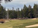 56735 Nest Pine Drive - Photo 60
