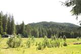 4848 Carberry Creek Road - Photo 40